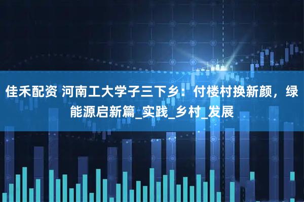 佳禾配资 河南工大学子三下乡：付楼村换新颜，绿能源启新篇_实践_乡村_发展