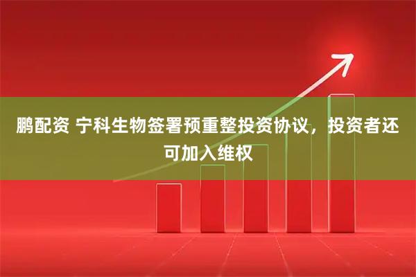 鹏配资 宁科生物签署预重整投资协议，投资者还可加入维权